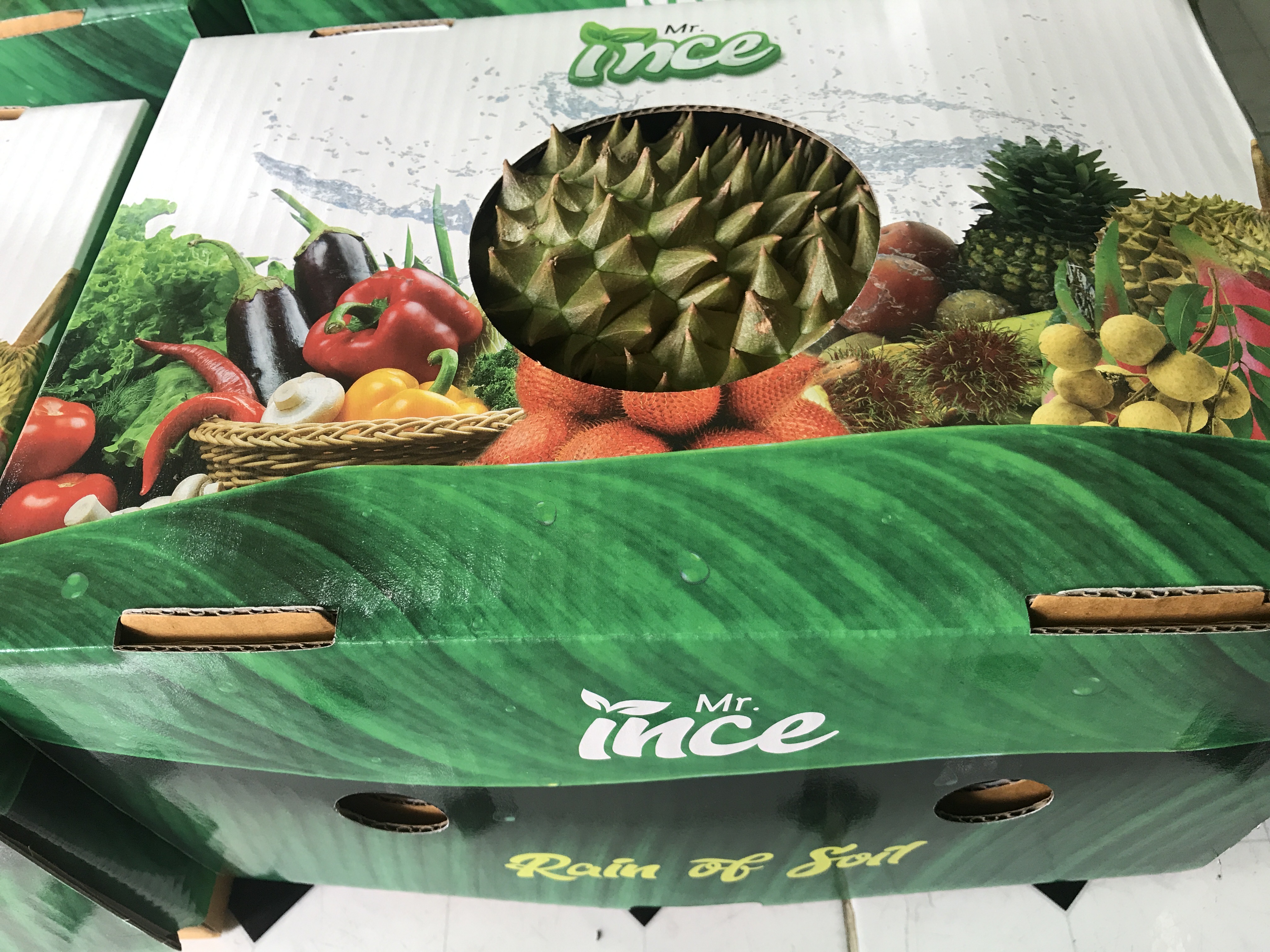 Mr.INCE · 17